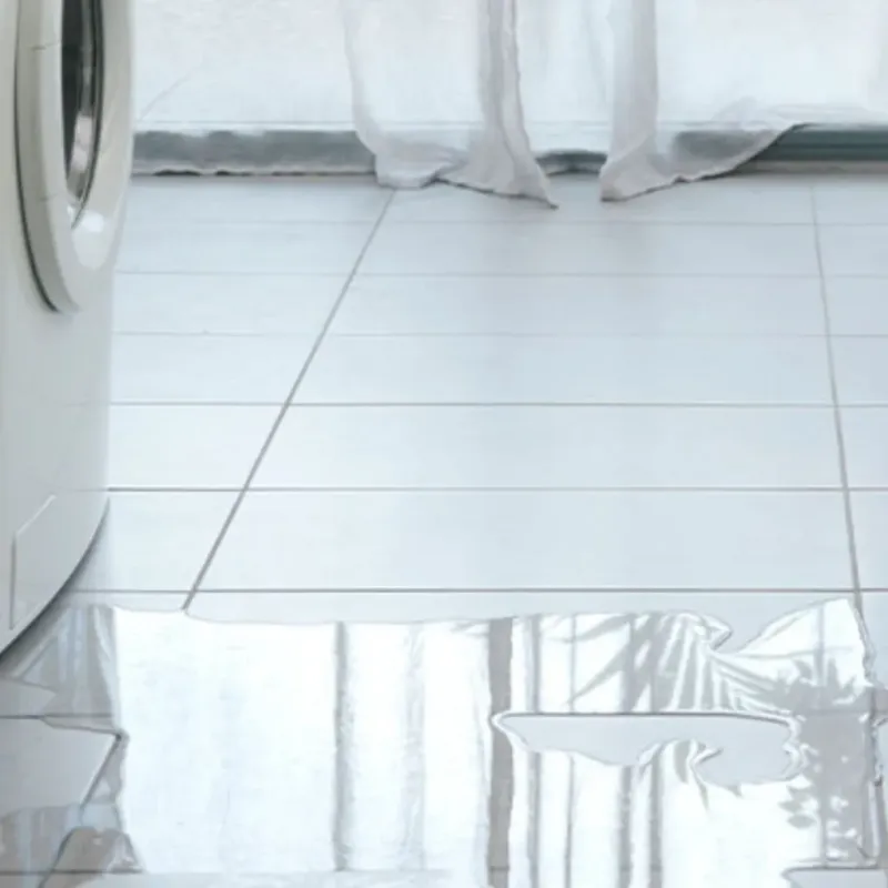 Appliance Leak Cleanup in Kaplan, LA