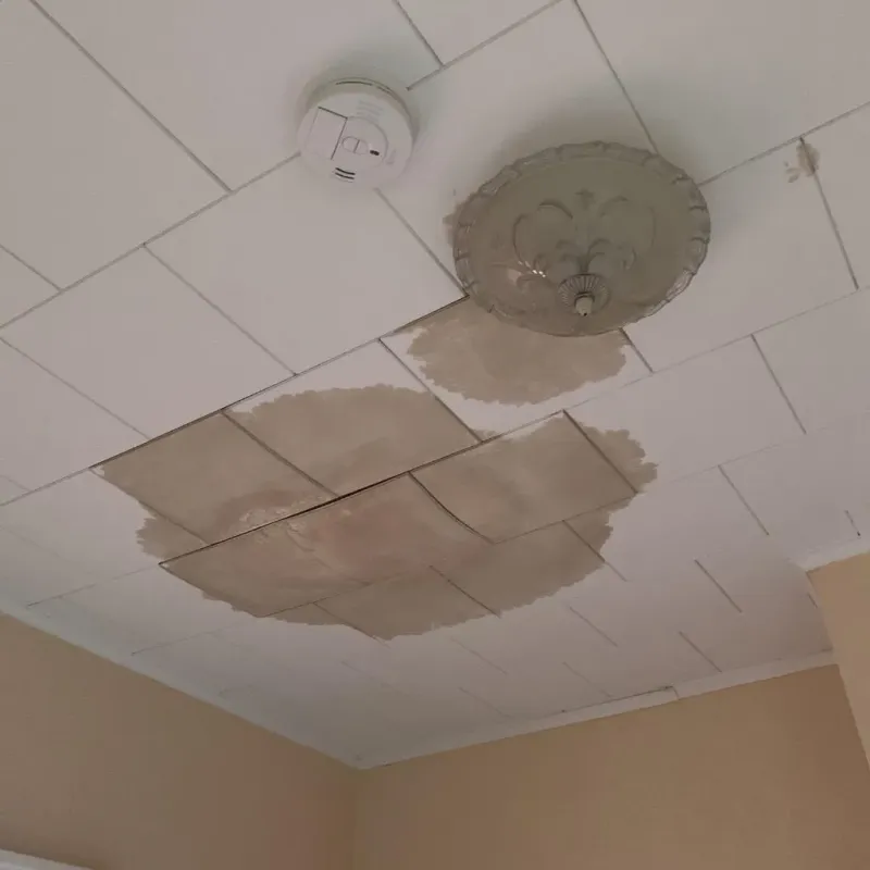 Ceiling Water Damage Repair in Kaplan, LA