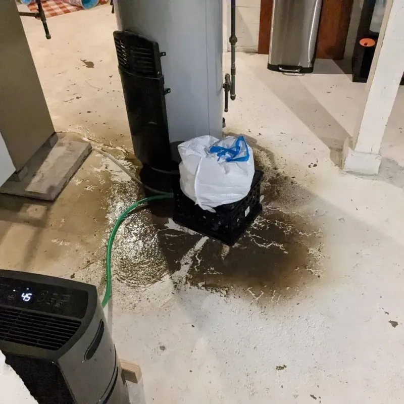 Sewage Backup Cleanup Service in Kaplan, LA